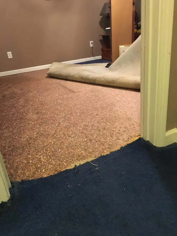 Carpet pad removal revealing water damage during Drying & Dehumidification in Coral Springs